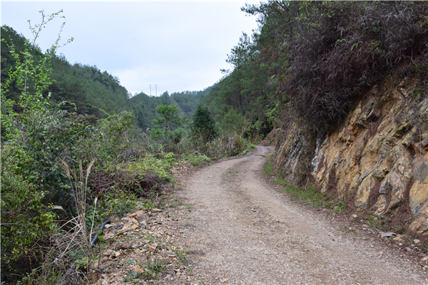 蜜果优农场山路