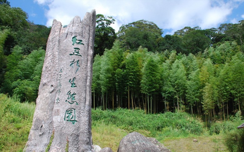 红豆杉生态园