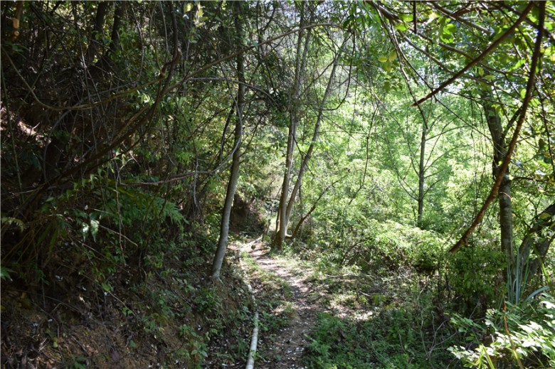 蜜果优农场北区