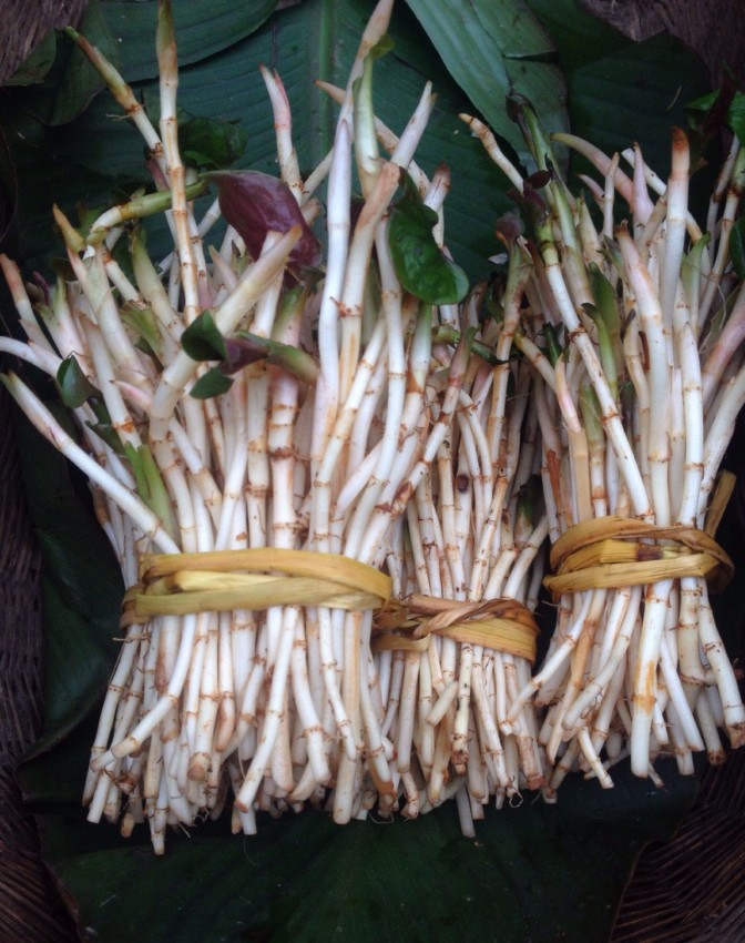 yuxingcaoa8